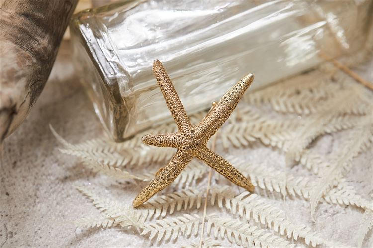 デフォルトロゴ